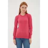 Fashion Friends Kadın Bisiklet Yaka Kazak - XS - Pembe