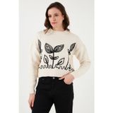 Fashion Friends Regular Fit Bisiklet Yaka Nakışlı Örme Bayan Kazak 24K0031K1 EKRU