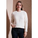 Fashion Friends Regular Fit Bisiklet Yaka Şönil Bayan Kazak 25K0160K1 EKRU