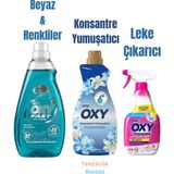Fast Hızlı Yıkama Sıvı Çamaşır Deterjanı 1480 Ml+Termina Leke Çıkarıcı 750 Ml+Konsantre Yumuşatıcı Lilyum&mavi Lotus 1440 ml - 1,48 lt