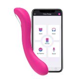 Fastieshop Lovense Osci 2 App Controlled