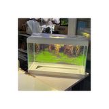 Fauna Pet Supplies 35Litre Işıklı Arkaplanlı Akvaryum Karışık Renk (50X30x25 Cm)