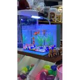 Fauna Pet Supplies Beta Tetra Lepistes Japon Balıkları Için Mini Akvaryum (Beyaz/Siyah/Mavi)