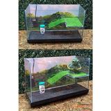 Fauna Pet Supplies Su Kaplumbağası Akvaryumu 50x30x25cm Full Cam Yeşil Rampalı Dinlenme Alanı