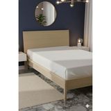 Favora %100 Pamuk Ranforce Premium Tek Kişilik Lastikli Çarşaf - Beyaz - 100 x 200