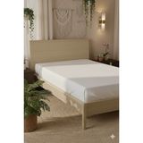 Favora %100 Pamuk Ranforce Premium Tek Kişilik Plus Lastikli Çarşaf - Be - Beyaz - 100 x 200