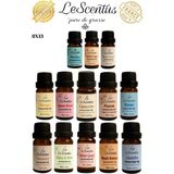 Favori Set 13'lü Esansiyel Uçucu Koku Yağı Buhurdanlık Yağı Difüzör Hobi Esansı Oda Ortam Kokusu 13X10ML