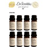 Favori Set Beyaz Sabun Esansiyel Uçucu Koku Yağı Buhurdanlık Yağı Difüzör Esansı Oda Ortam Kokusu 8X10ML