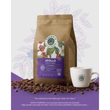 Favorte Coffee & Roasted 500 gr Apollo Espresso Kahve Arabica Çekirdeği