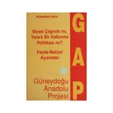 Fayda - Maliyet Açısından Güneydoğu Anadolu Projesi - Mukaddes Şahin