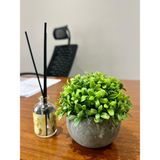 FB Cup Yapay Şimşir (Boxwood) Çiçeği Premium Antrasit Saksılı Ofis Ev Dekorasyonu 🌿 - Yeşil