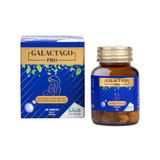 FDA Onaylı Üretici Galactago Pro Anne Sütü Artırıcı Takviye 45 Tablet - Moringa, Çemen, Beta Glukan ve Üzüm Ekstresi İçeren Emziren Anneler İçin Destek | Gluten İçermez