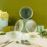 Fecra Loren Cam Pasta Tabağı Seti, 16 cm, 6 Parça, Natürel