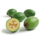 Feijoya Fidanı 6 Yaş 1.5 Mt Üstü