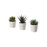 Fejka Saksılı Yapay Bitki, Yeşil, 6 Cm, 3 Adet, Kaktüs Saksılar