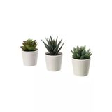 Fejka Saksılı Yapay Bitki, Yeşil, 6 Cm, 3 Adet, Kaktüs