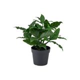 FEJKA yeşil 9 cm yapay bitki - 60610748 | IKEA 9 cm yapay bitki