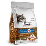 Felicia 1 Kg Kolajenli Somonlu Az Tahıllı Yetişkin Kedi Maması HypoAllergenic Kedi Maması