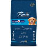 Felicia Adult Large Breed Somon Etli 15 kg Yetişkin Köpek Maması