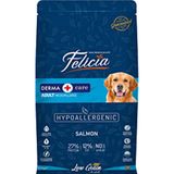 Felicia Az Tahıllı Somonlu Hypoallergenic 1 kg Yetişkin Köpek Maması