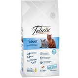 Felicia Hight Premium Somonlu 12 kg Yetişkin Kedi Maması