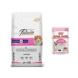 Felicia Hypoallergenic Kitten Tavuklu Yavru 12 kg Kedi Mama + Royal Canin Kitten Pouch 85 gr Yaş Mama