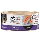 Felicia Insight Sterilised Somonlu Fileto Tahılsız Kısırlaştırılmış 85 gr Kedi Konservesi