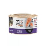 Felicia İnsight Tahılsız Somon Filetolu Kısırlaştırılmış Kedi Pouch Yaş Mama (85 G)