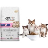 Felıcıa Kitten&mother Care 2 kg Kedi Maması - 1