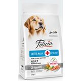 Felicia Kolajen Destekli Hipoalerjenik Somonlu Yetişkin Orta ve Büyük Irk Köpek Maması 3 Kg.