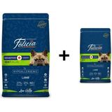 Felicia Kuzulu Küçük Irk Yetişkin Köpek Maması 6 kg + 1 Adet Felicia Küçük ve Orta Irk Kuzulu Yetişkin Köpek Maması 3 kg