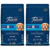 Felicia Orta Büyük Irk Az Tahıllı Somonlu 2x3 kg Yetişkin Köpek Maması