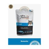 Felicia Pouch Somonlu Yetişkin Kedi Yaş Maması 85 gr