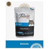 Felicia Pouch Yetişkin Somonlu Yaş Kedi Maması 85GR
