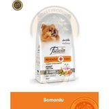 Felicia Preventive Care Adult Salmon-Collagen Small 3 kg (Az Tahıllı & Hipoalerjenik Somonlu Yetişkin Köpek Maması-Küçük Irklar için) - 3kg