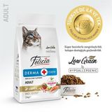 Felicia Somon Balıklı Yetişkin Kedi Maması 2 kg