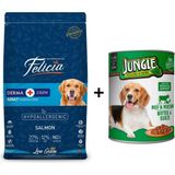 Felicia Somonlu 3 kg Yetişkin Köpek Maması + Yaş Mama