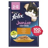 Felix 100x85 gr Pouch Karışık Yaş Kedi Maması