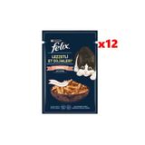FELIX Pouch Tasty Shreds Somonlu Lezzetli Et Dilimleri Yaş Kedi Maması 80 Gr x 12