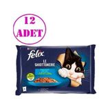 Felix Somonlu ve Ton Balıklı Yetişkin Kedi Yaş Maması 4 x 85 gr Ekonomik Paket 12 Adet