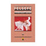 Felsefe Ansiklopedisi 4 - Ahmet Cevizci