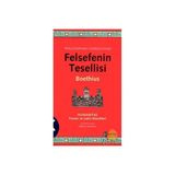 Felsefenin Tesellisi - Alain De Botton