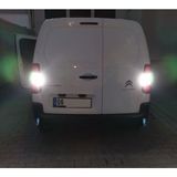 Femex Citröen Berlingo LED Geri Vites Aydınlatma Ampulu Femex P21W - Beyaz