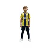 Fenerbahçe Lisanslı Çocuk Forma Şort Seti