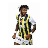 Fenerbahçe Resmi Lisanslı Fred Oto Araç Kokusu Asma Koku (Fred)