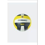Fenerbahçe Voleybol Topu