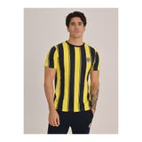 FENERIUM Erkek Trıbun Çubuklu Tshırt,Çok Renkli S