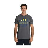 Fenerium Tribun Fenerbahçe Since 1907 T-Shirt, S, TK010EGK27, GRI, Erkek