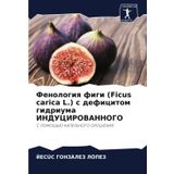Fenologiq figi (Ficus carica L.) s deficitom gidriuma INDUCIROVANNOGO: S POMOShh'Ju KAPEL'NOGO OROShENIYa