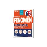 Fenomen 6 Matematik S.b.